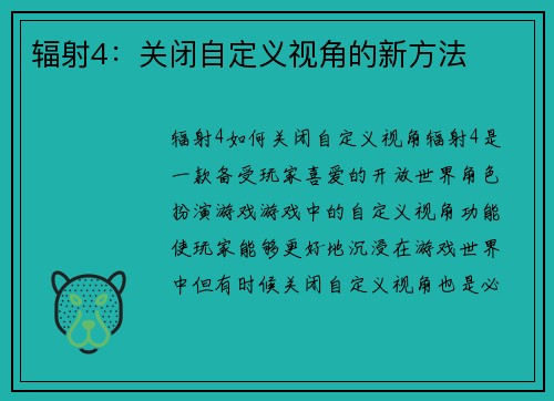 辐射4：关闭自定义视角的新方法